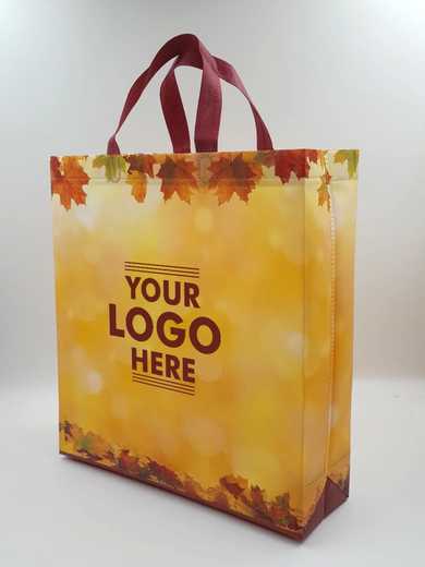 How BagsGuru’s Carry Bags Increases Repeat Customers & Top 5 Bag Designs  That Attract More Customer